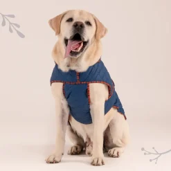 HUFT Grrberry Quilted Dog Jacket - Teal Blue