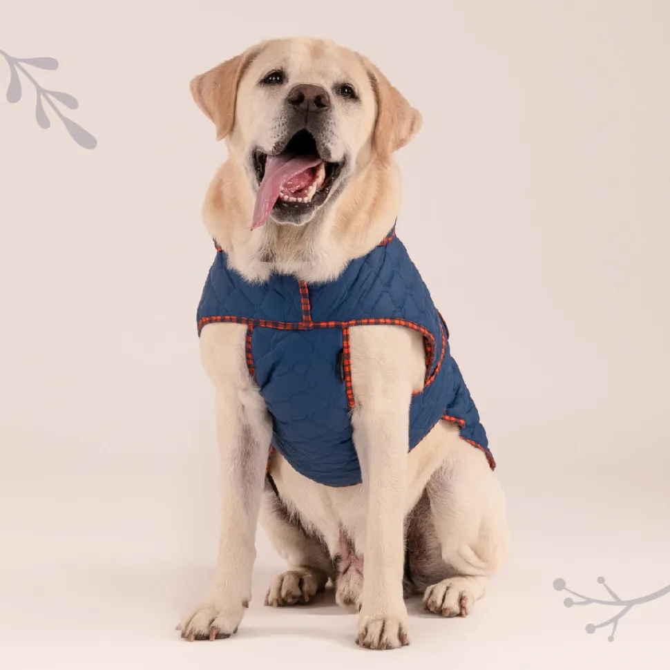 HUFT Grrberry Quilted Dog Jacket - Teal Blue