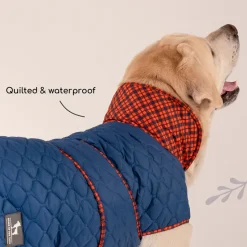 HUFT Grrberry Quilted Dog Jacket - Teal Blue