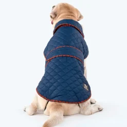 HUFT Grrberry Quilted Dog Jacket - Teal Blue