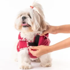 HUFT Grrberry Quilted Dog Jacket- Burnt Red
