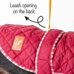 HUFT Grrberry Quilted Dog Jacket- Burnt Red