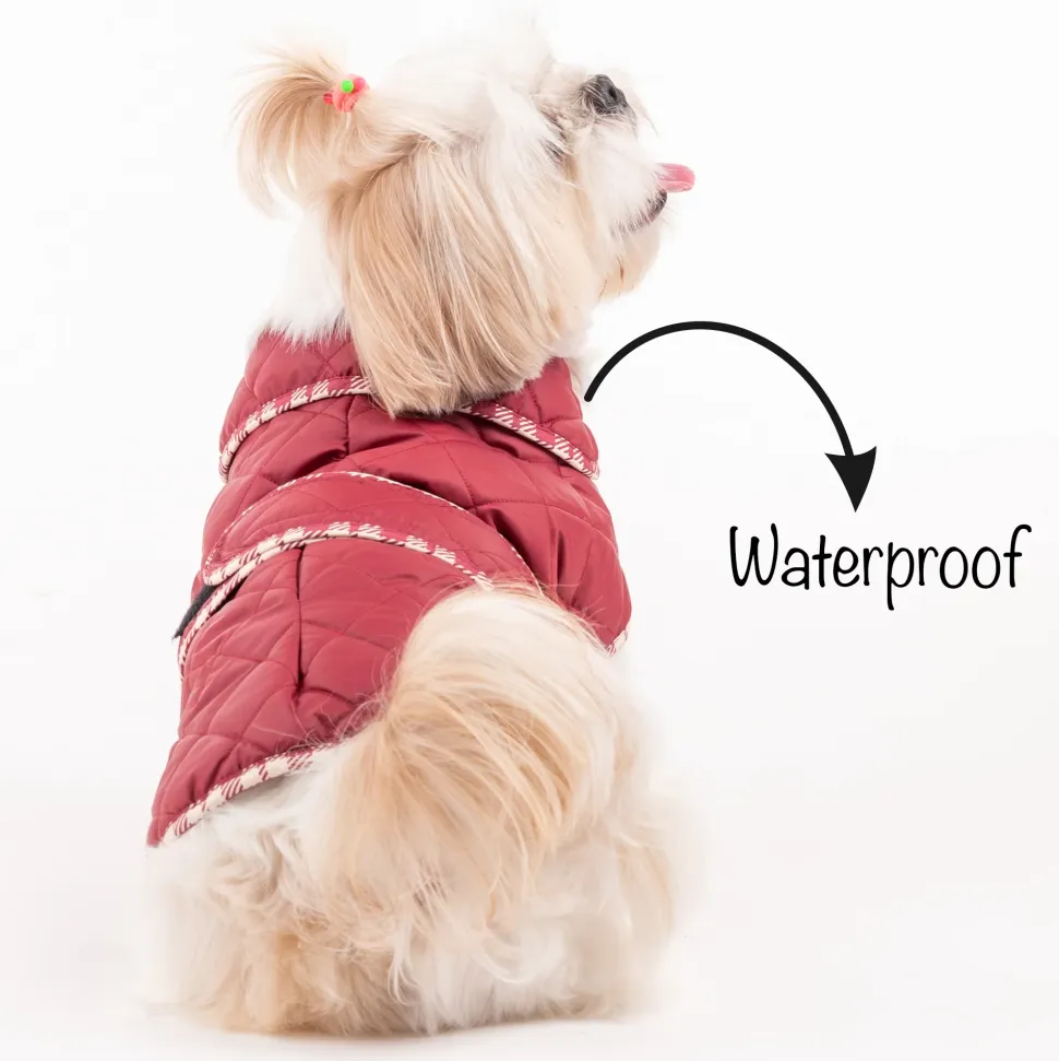 HUFT Grrberry Quilted Dog Jacket- Burnt Red