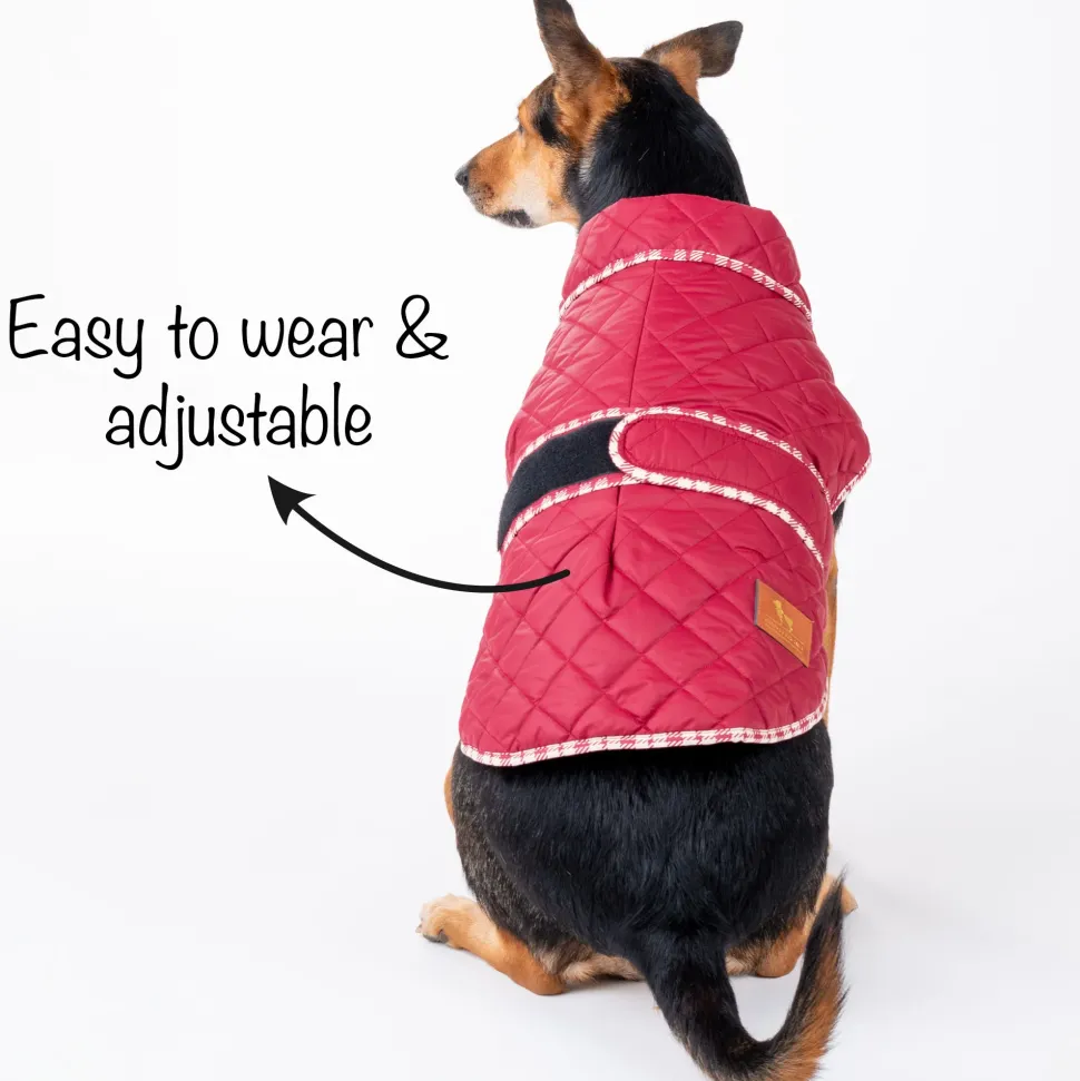 HUFT Grrberry Quilted Dog Jacket- Burnt Red