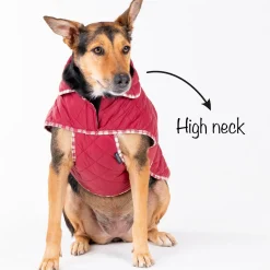 HUFT Grrberry Quilted Dog Jacket- Burnt Red