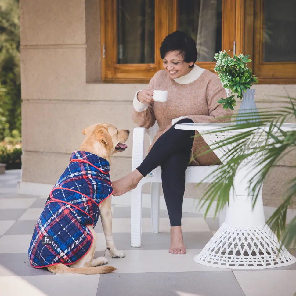 HUFT Grrberry Quilted Print Jacket For Dog - Blue & Coral