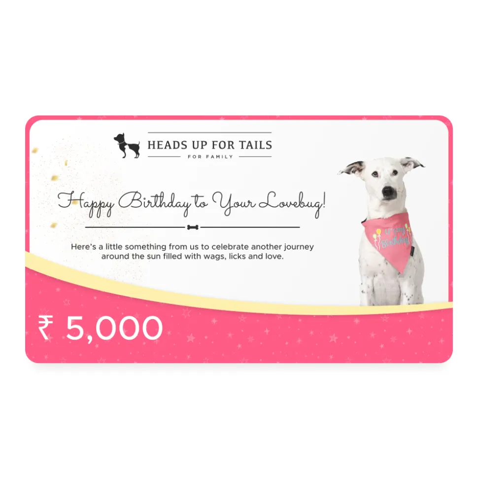 HUFT Happy Birthday To Your Lovebug Gift Card