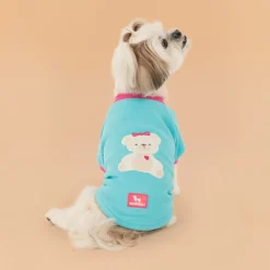 HUFT Happy Teddy Sweatshirt For Small Dog - Turquoise Blue