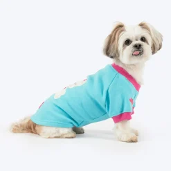 HUFT Happy Teddy Sweatshirt For Small Dog - Turquoise Blue