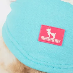 HUFT Happy Teddy Sweatshirt For Small Dog - Turquoise Blue