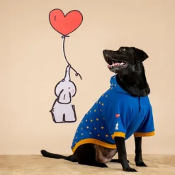 HUFT Honey Hearts Sweatshirt With Hood For Dog - Blue