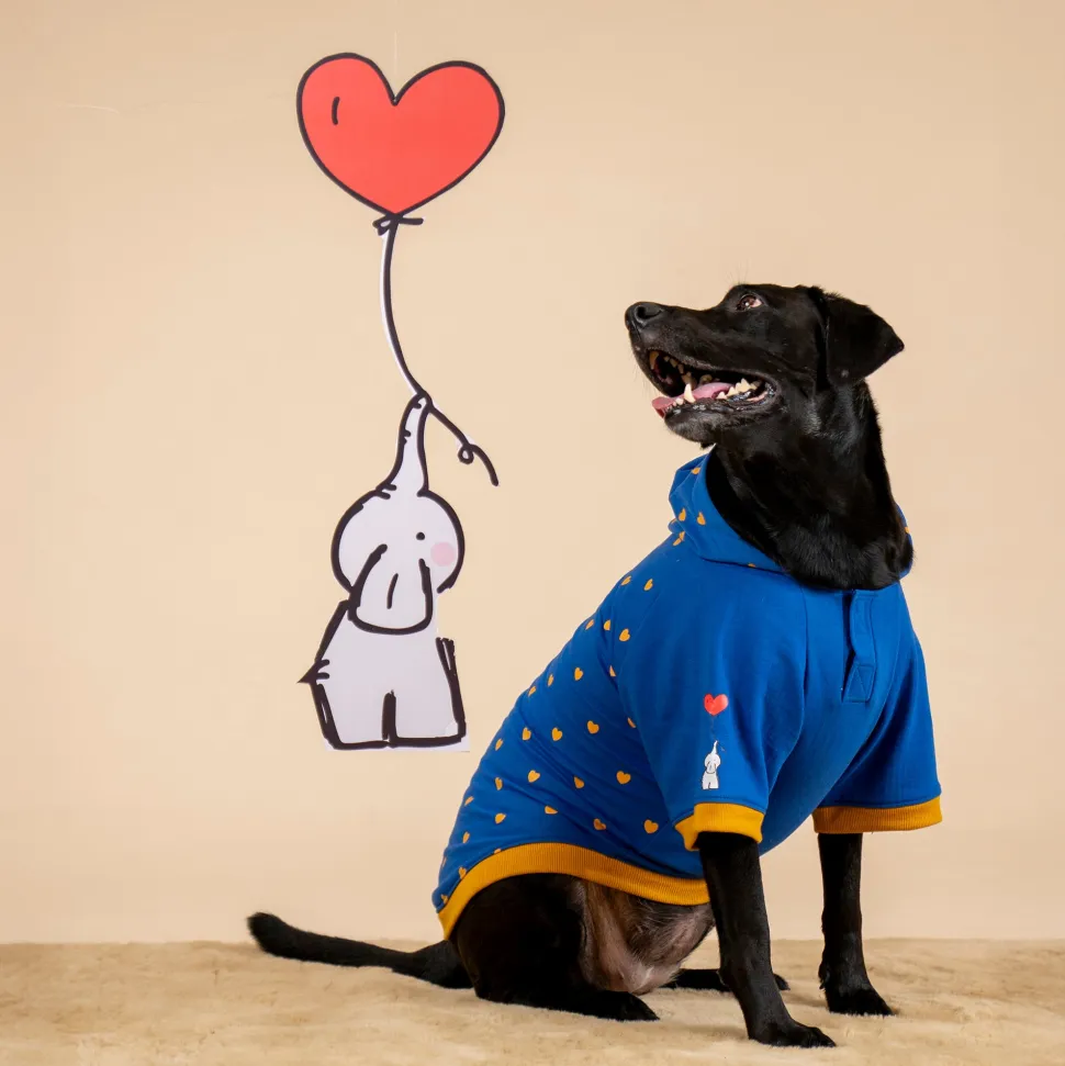 HUFT Honey Hearts Sweatshirt With Hood For Dog - Blue