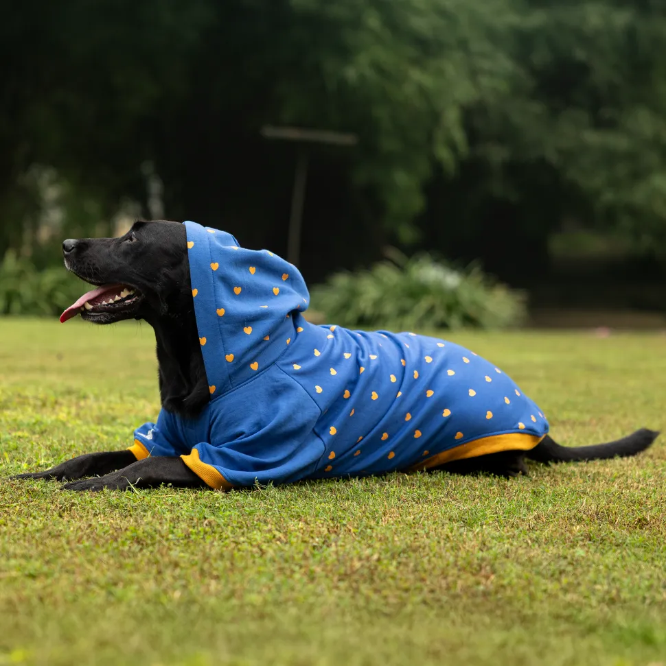 HUFT Honey Hearts Sweatshirt With Hood For Dog - Blue