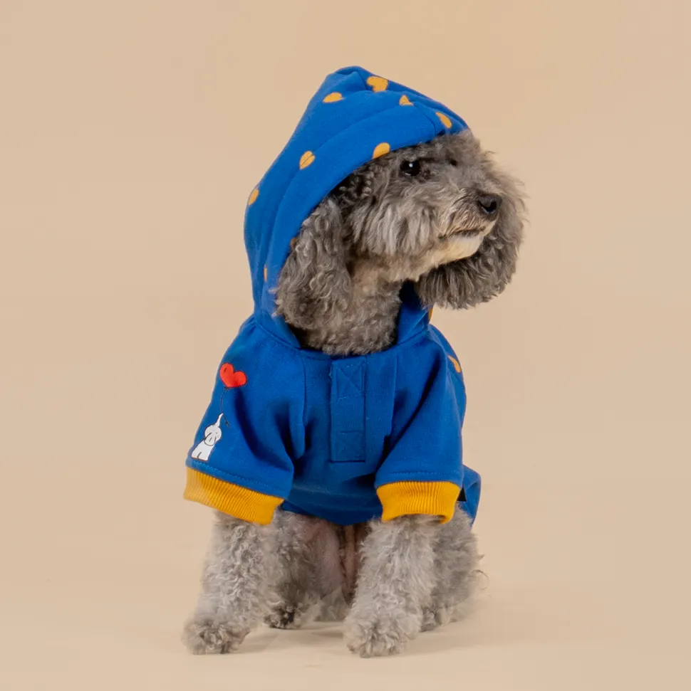 HUFT Honey Hearts Sweatshirt With Hood For Dog - Blue