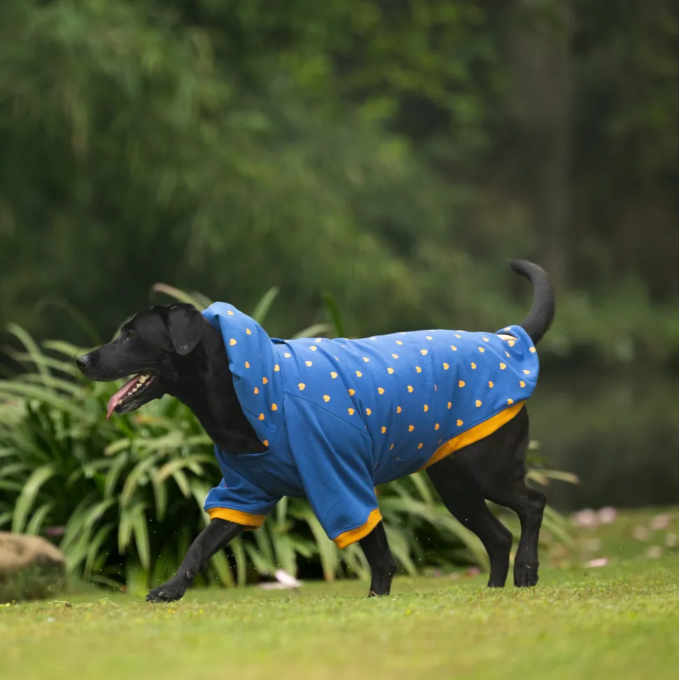 HUFT Honey Hearts Sweatshirt With Hood For Dog - Blue