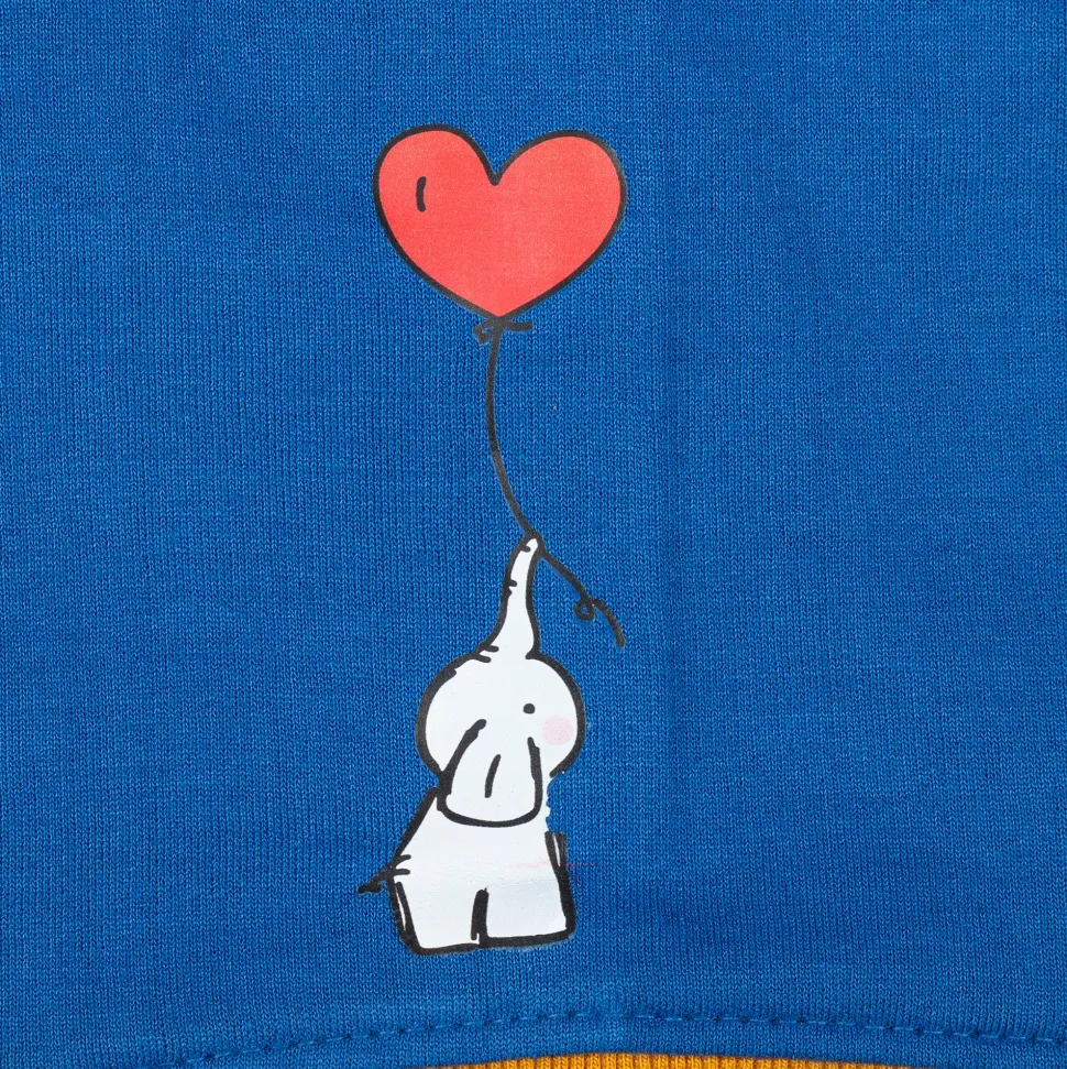 HUFT Honey Hearts Sweatshirt With Hood For Dog - Blue