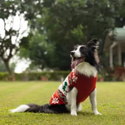 HUFT Jolly Jumper Sweater For Dog - Red