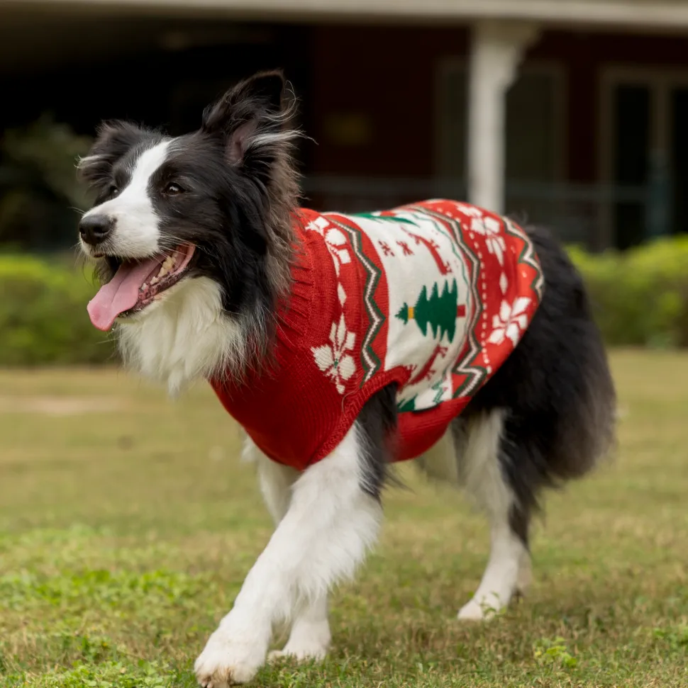 HUFT Jolly Jumper Sweater For Dog - Red