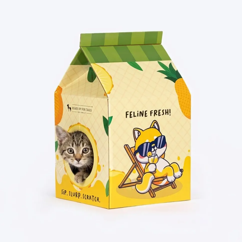 HUFT Kitty Carton Scratcher For Cat – Multicolor