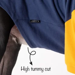 HUFT Less Talkie More Walkie Pet Sweatshirt - Navy
