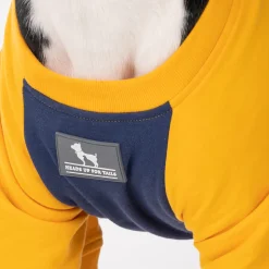 HUFT Less Talkie More Walkie Pet Sweatshirt - Navy