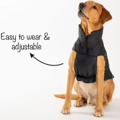 HUFT Luxe Stud Quilted Jacket For Dogs - Black