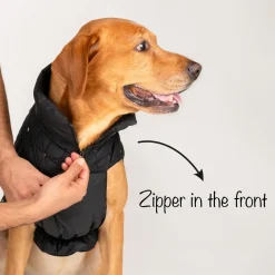 HUFT Luxe Stud Quilted Jacket For Dogs - Black