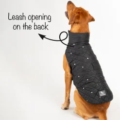 HUFT Luxe Stud Quilted Jacket For Dogs - Black