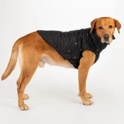 HUFT Luxe Stud Quilted Jacket For Dogs - Black