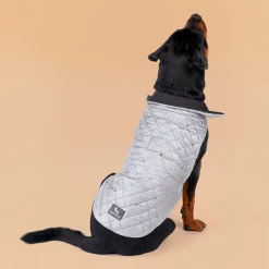 HUFT Luxe Stud Quilted Jacket For Dogs - Silver