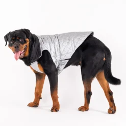 HUFT Luxe Stud Quilted Jacket For Dogs - Silver