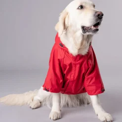HUFT Magical Mist Dog Raincoat (Made to Order)