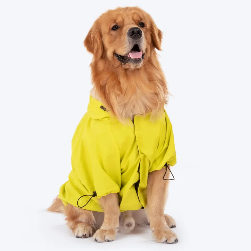 HUFT Magical Mist Dog Raincoat (Made to Order)