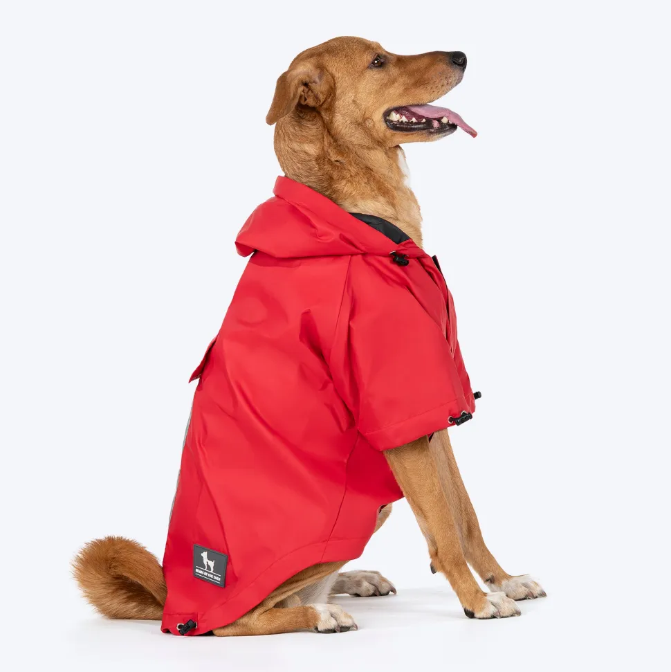 HUFT Magical Mist Dog Raincoat (Made to Order)