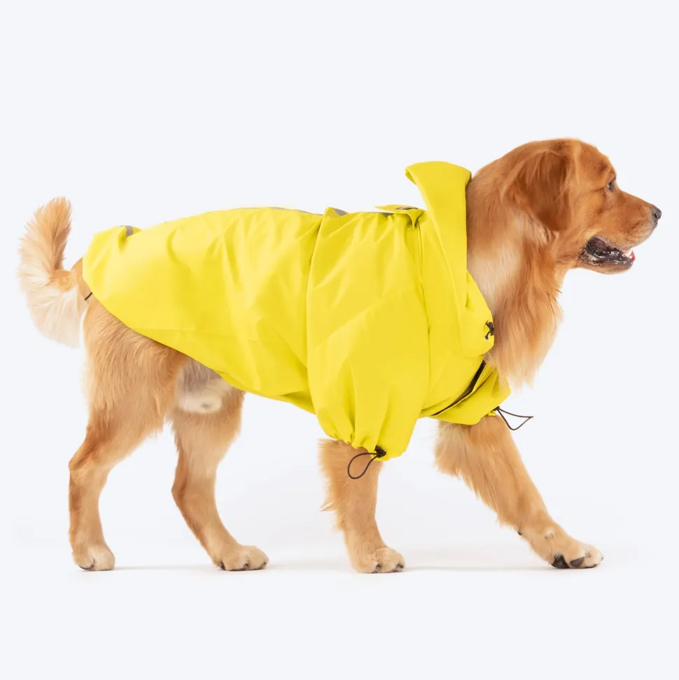 HUFT Magical Mist Dog Raincoat (Made to Order)