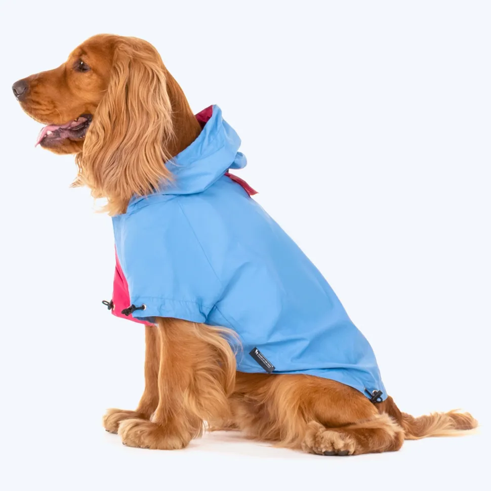 HUFT Magical Mist Dog Raincoat - Light Blue & Pink