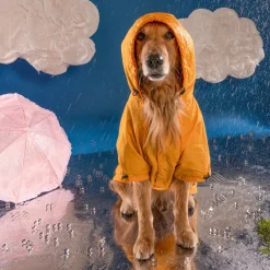 HUFT Magical Mist Dog Raincoat - Yellow