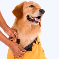 HUFT Magical Mist Dog Raincoat - Yellow