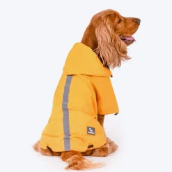 HUFT Magical Mist Dog Raincoat - Yellow