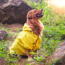 HUFT Magical Mist Raincoats For Dog & Cat - Sunshine Yellow