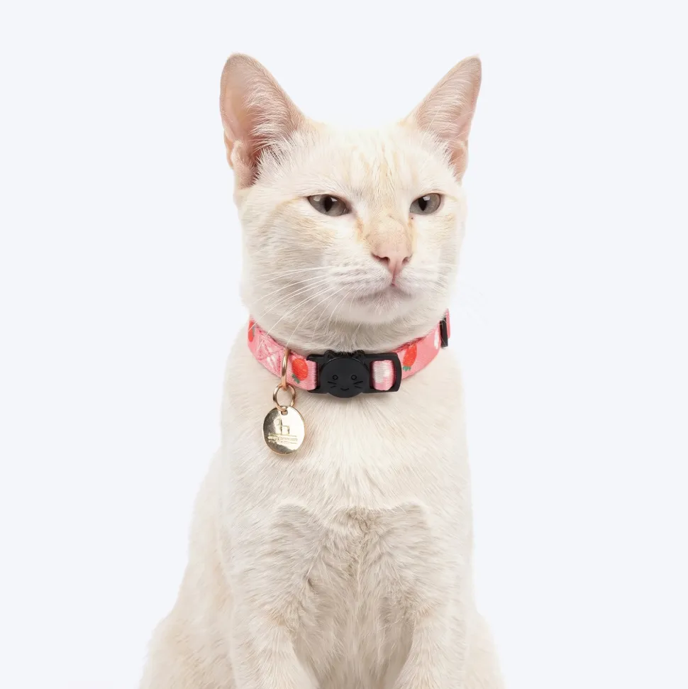 HUFT Meowvelous Collars For Cat - Pink & Navy