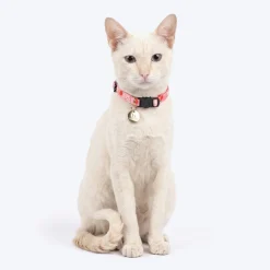HUFT Meowvelous Collars For Cat - Pink & Navy