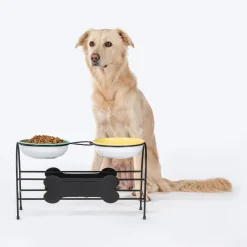 HUFT Pawlicious Double Diner For Dog - Multicolor