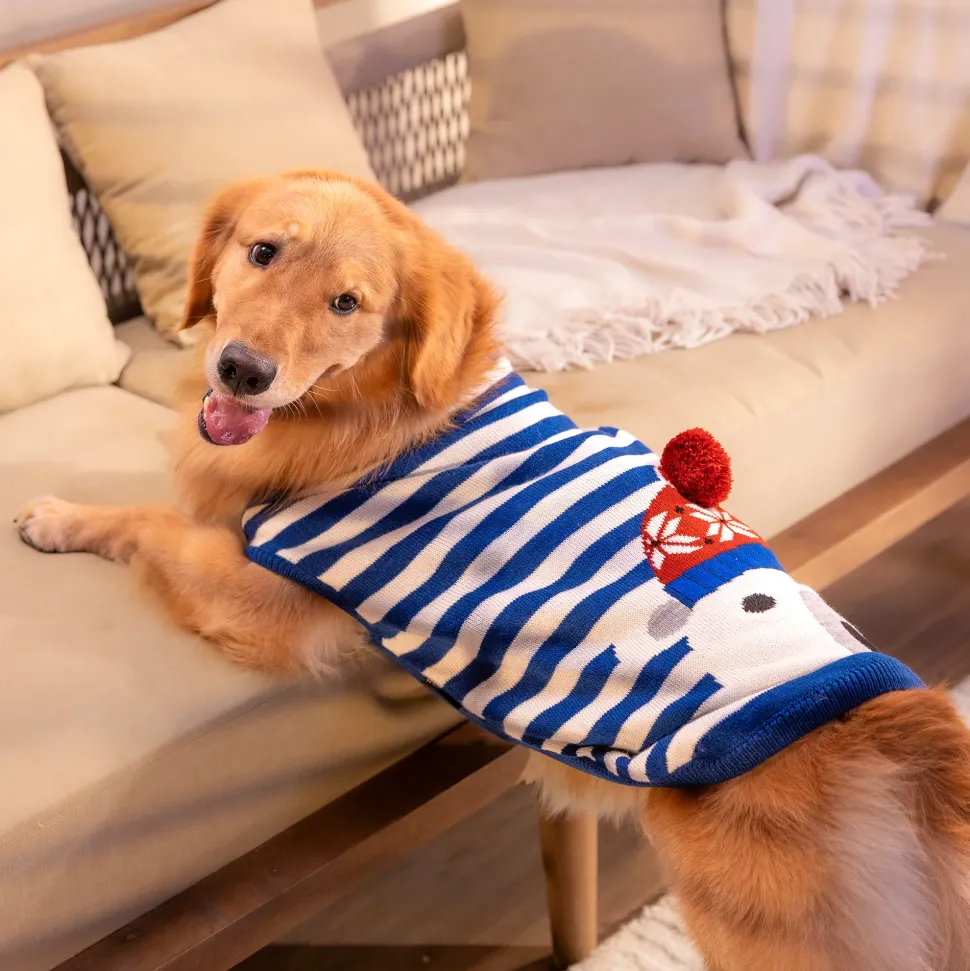 HUFT Polar Bear Striped Sweater For Dog - Multicolor