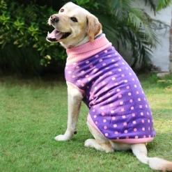 HUFT Polka Dog Sweater - Dotted Purple
