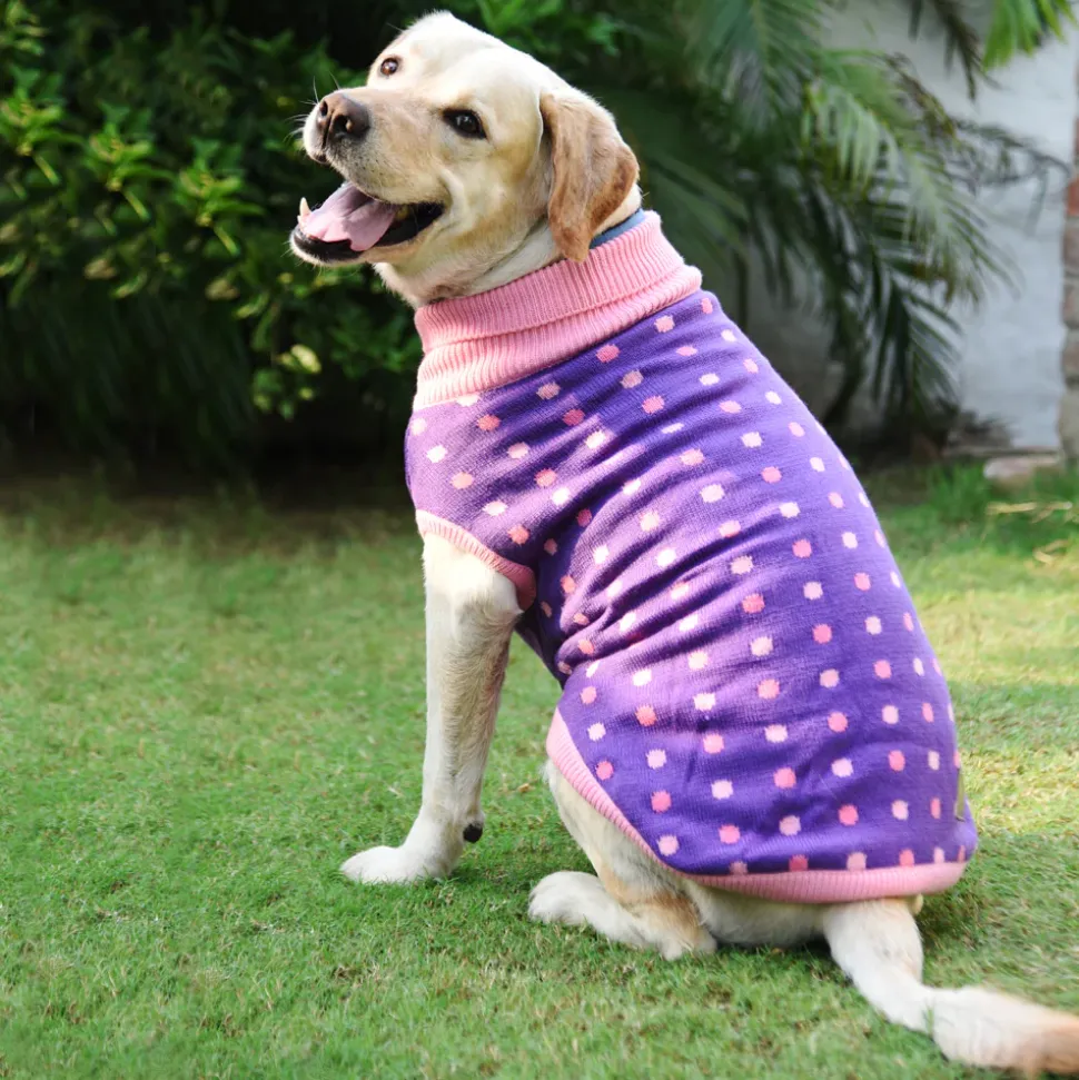 HUFT Polka Dog Sweater - Dotted Purple