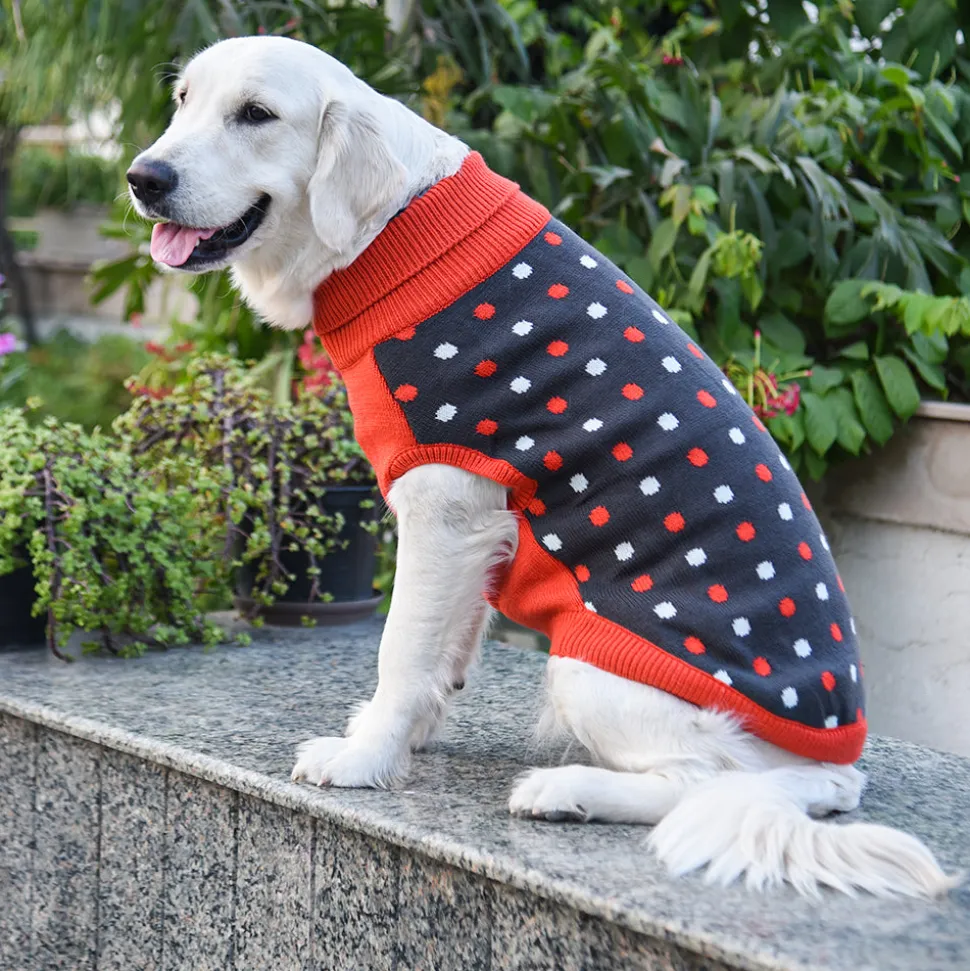 HUFT Polka Dog Sweater - Dotted Dark Grey