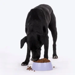 HUFT Prism Embossed Melamine Bowl For Dogs - Lilac