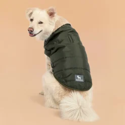 HUFT Puffer Paws Jacket For Big Dog - Green