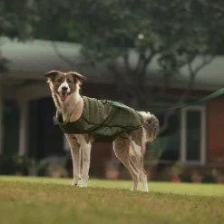 HUFT Puffer Paws Jacket For Big Dog - Green
